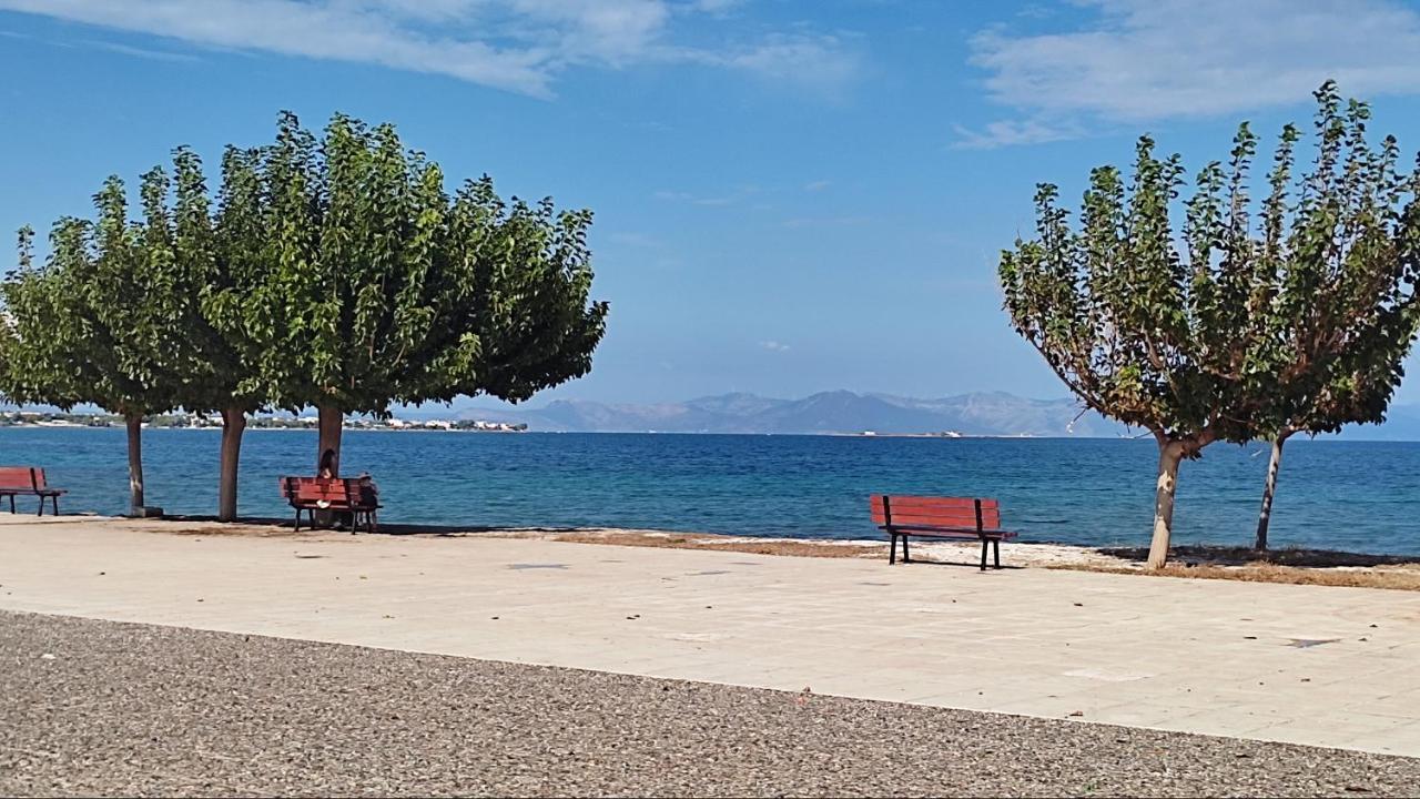 アルテミダBeautiful Choice - Near Athens Airport - 50M From The Sea - Iq+アパートメント エクステリア 写真