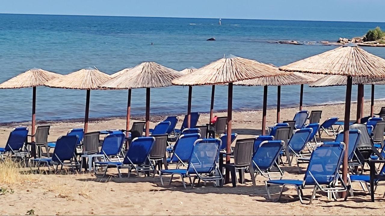 アルテミダBeautiful Choice - Near Athens Airport - 50M From The Sea - Iq+アパートメント エクステリア 写真