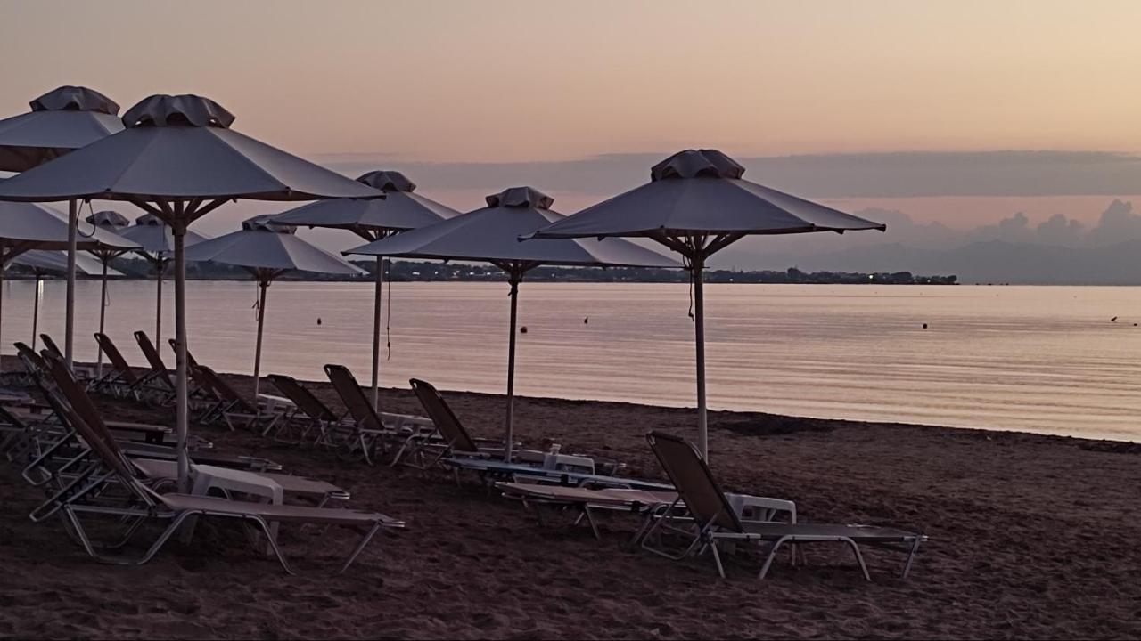 アルテミダBeautiful Choice - Near Athens Airport - 50M From The Sea - Iq+アパートメント エクステリア 写真
